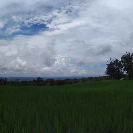 Tegal Jero Homestay Jatiluwih Exterior foto