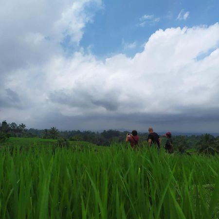 Tegal Jero Homestay Jatiluwih Exterior foto