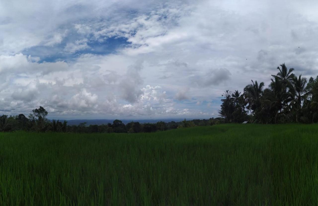 Tegal Jero Homestay Jatiluwih Exterior foto