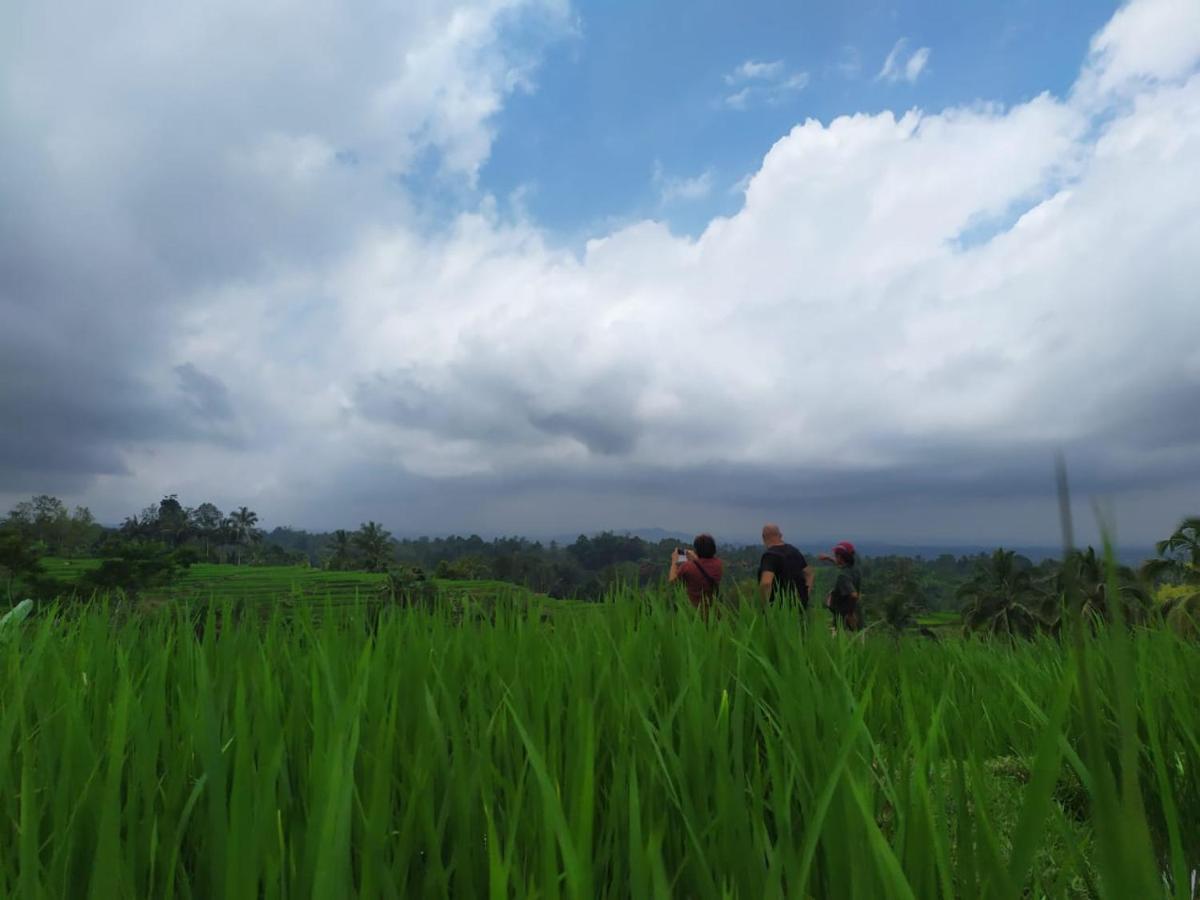 Tegal Jero Homestay Jatiluwih Exterior foto