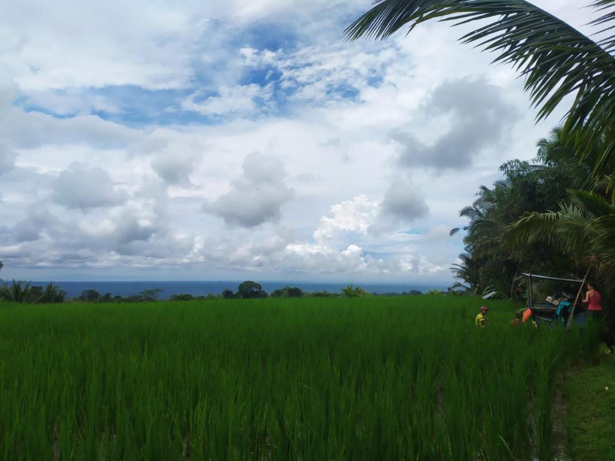 Tegal Jero Homestay Jatiluwih Exterior foto