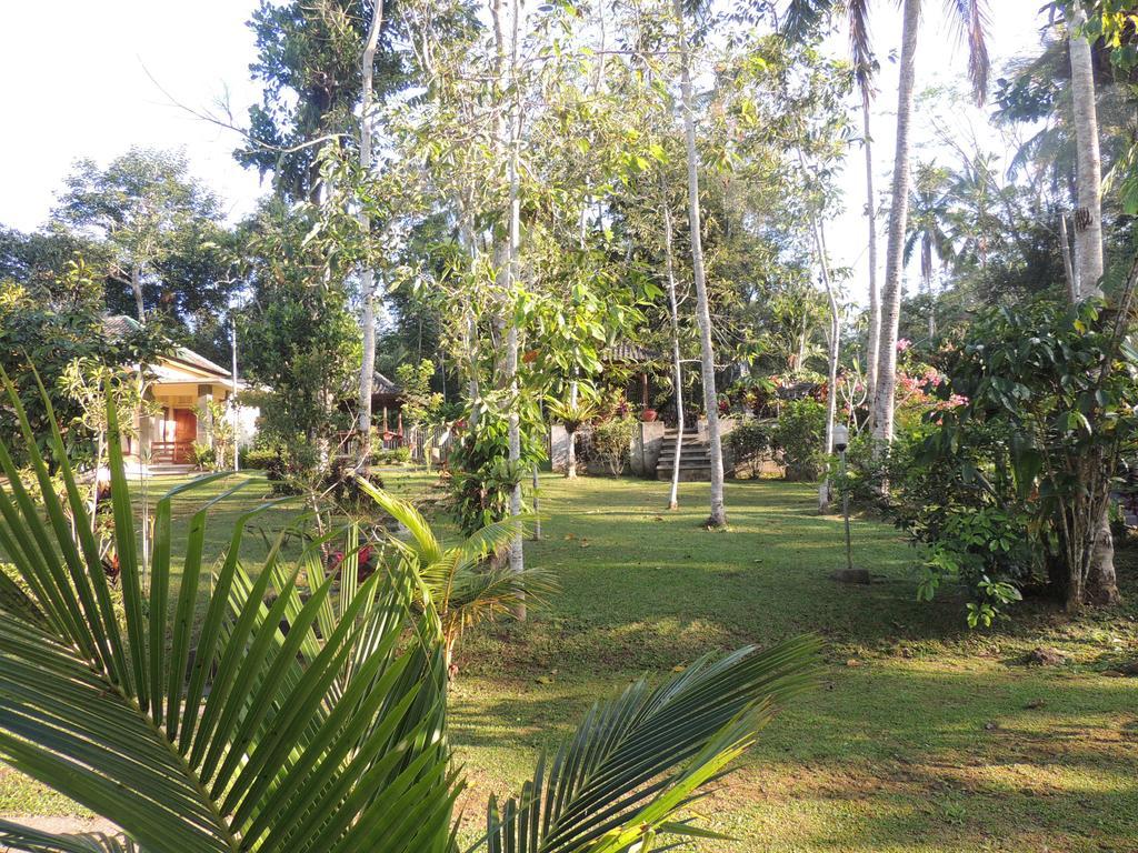 Tegal Jero Homestay Jatiluwih Exterior foto