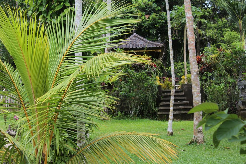 Tegal Jero Homestay Jatiluwih Exterior foto