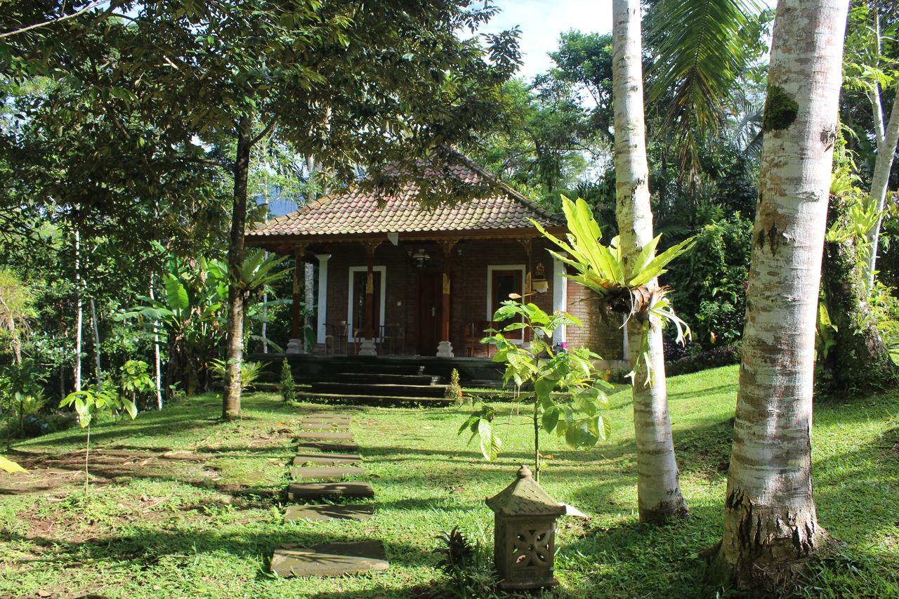 Tegal Jero Homestay Jatiluwih Exterior foto