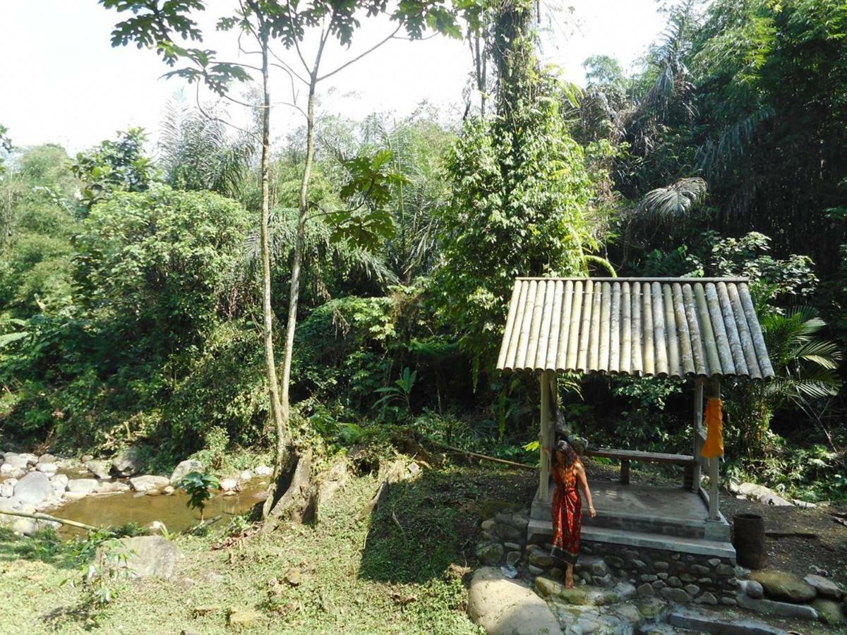 Tegal Jero Homestay Jatiluwih Exterior foto
