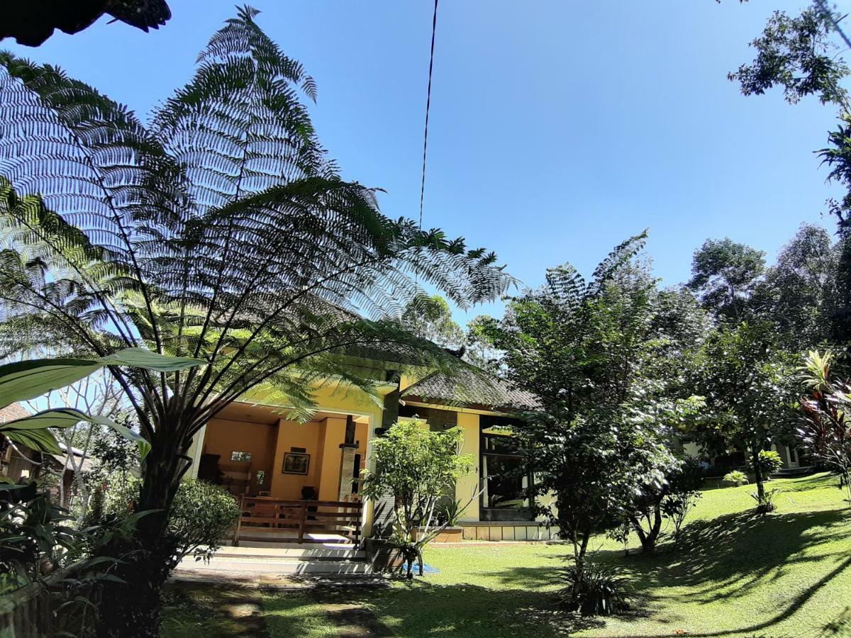 Tegal Jero Homestay Jatiluwih Exterior foto