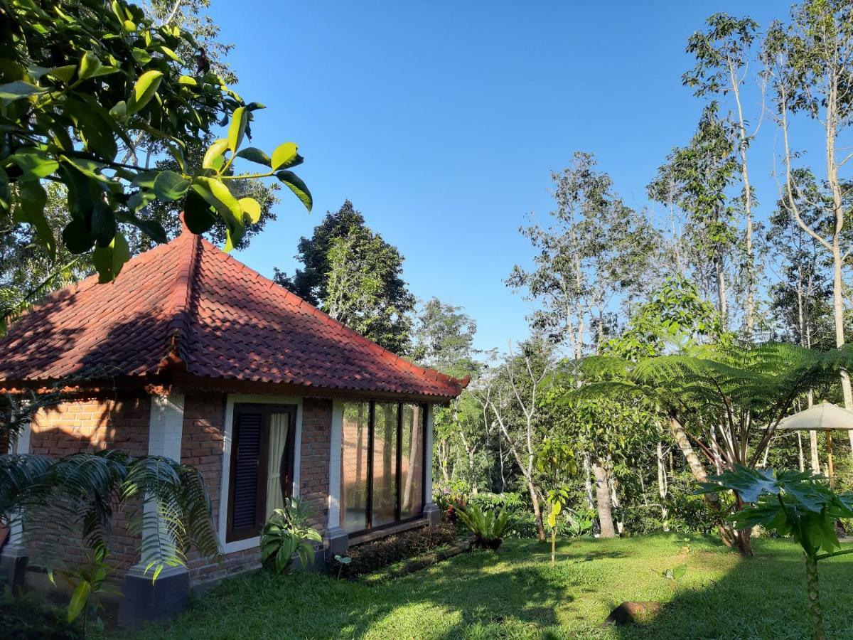 Tegal Jero Homestay Jatiluwih Exterior foto