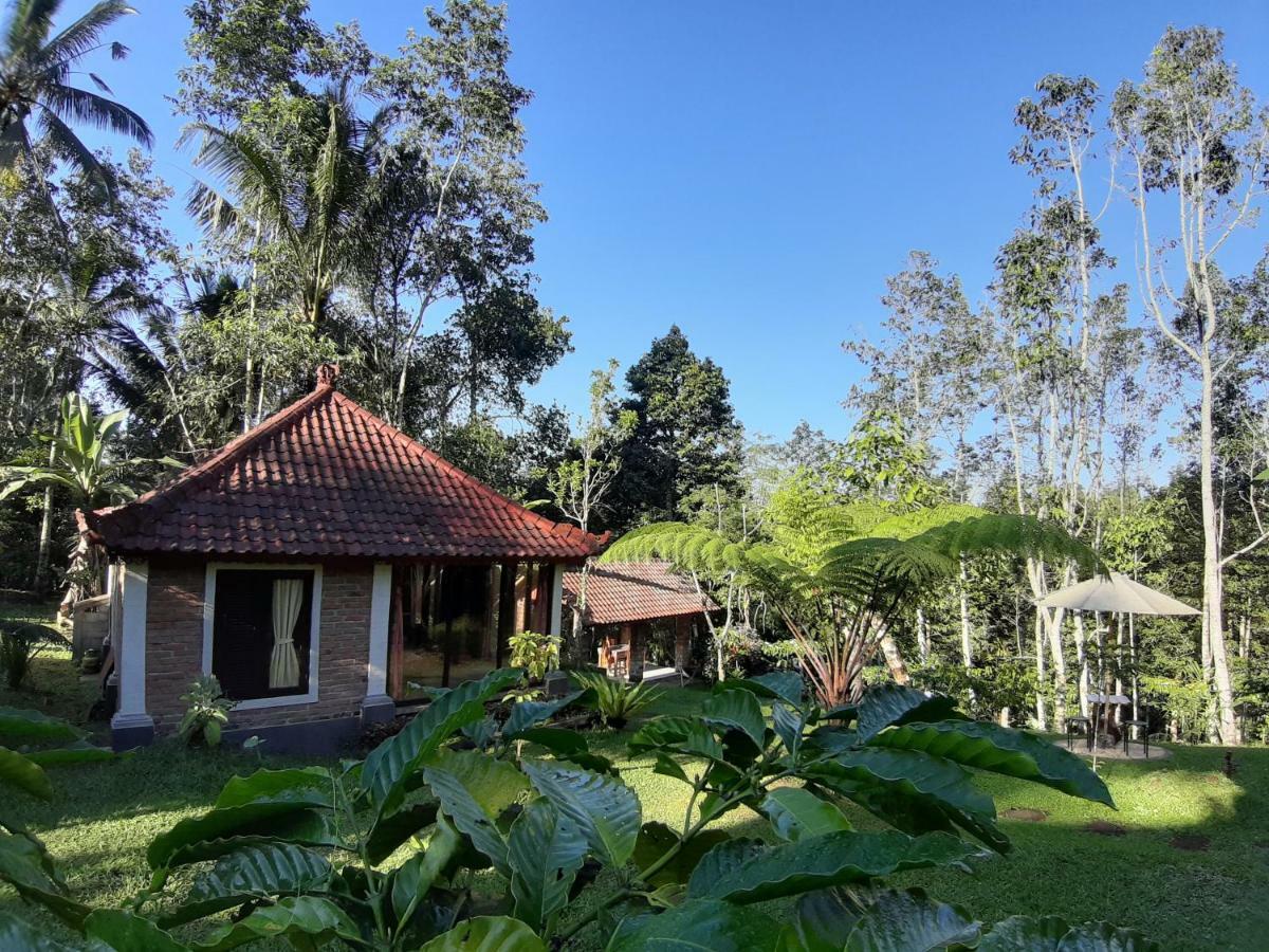 Tegal Jero Homestay Jatiluwih Exterior foto