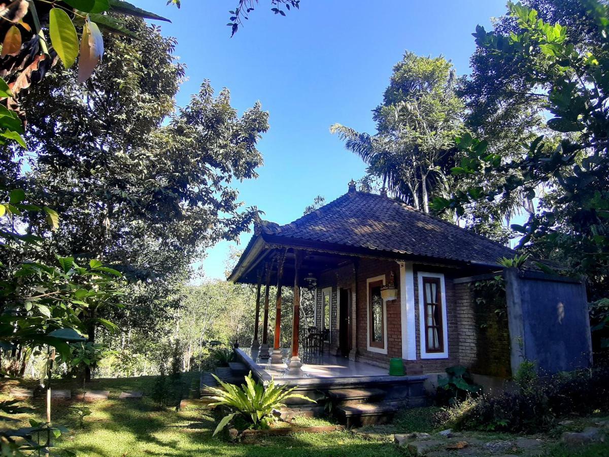 Tegal Jero Homestay Jatiluwih Exterior foto