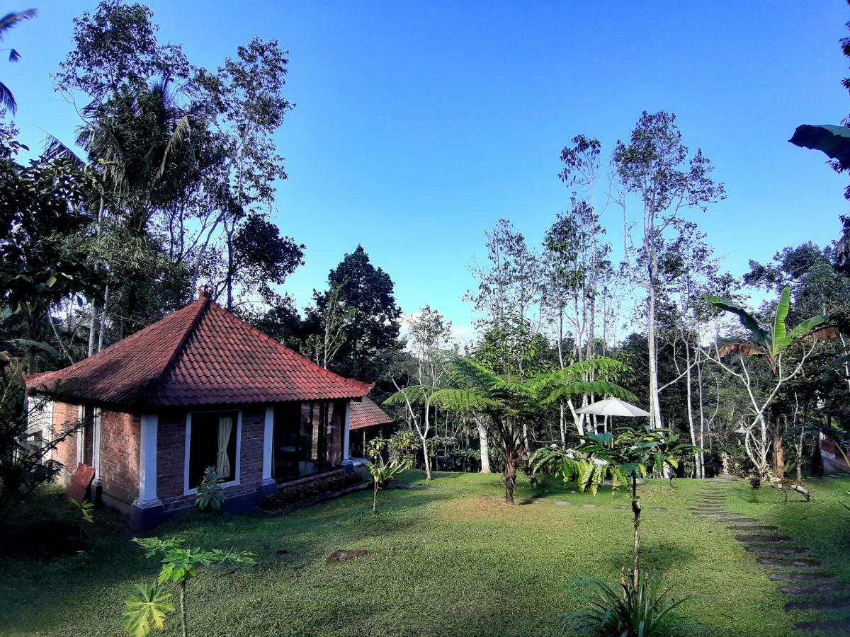 Tegal Jero Homestay Jatiluwih Exterior foto